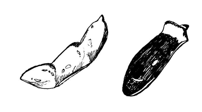 f:id:who-me:20150605232522j:plain f:id:who-me:20150605232522j:plain