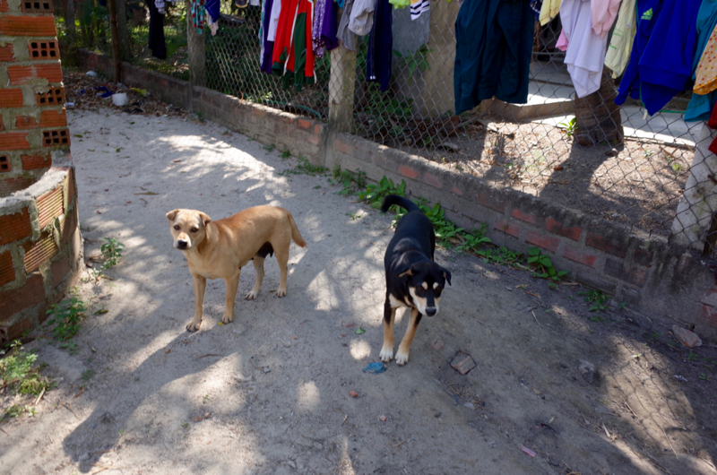 f:id:who-me:20170309170433j:plain