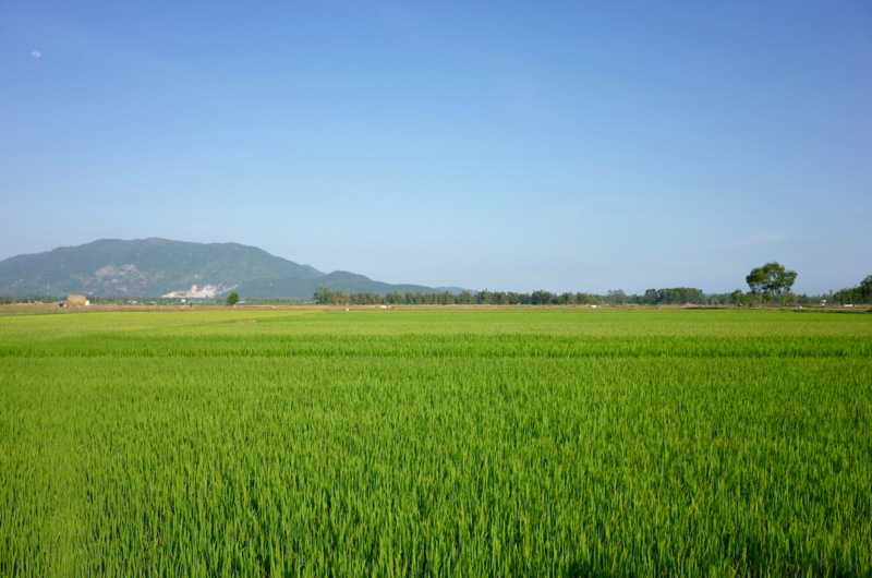 f:id:who-me:20170309182129j:plain