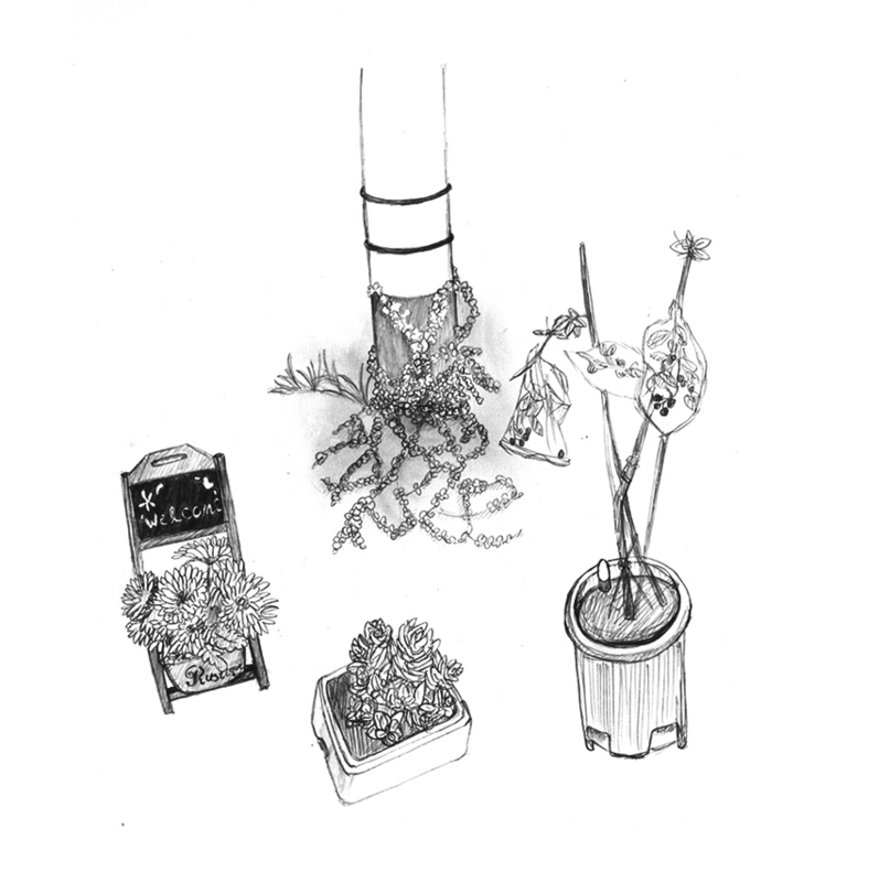 f:id:who-me:20170721094034j:plain