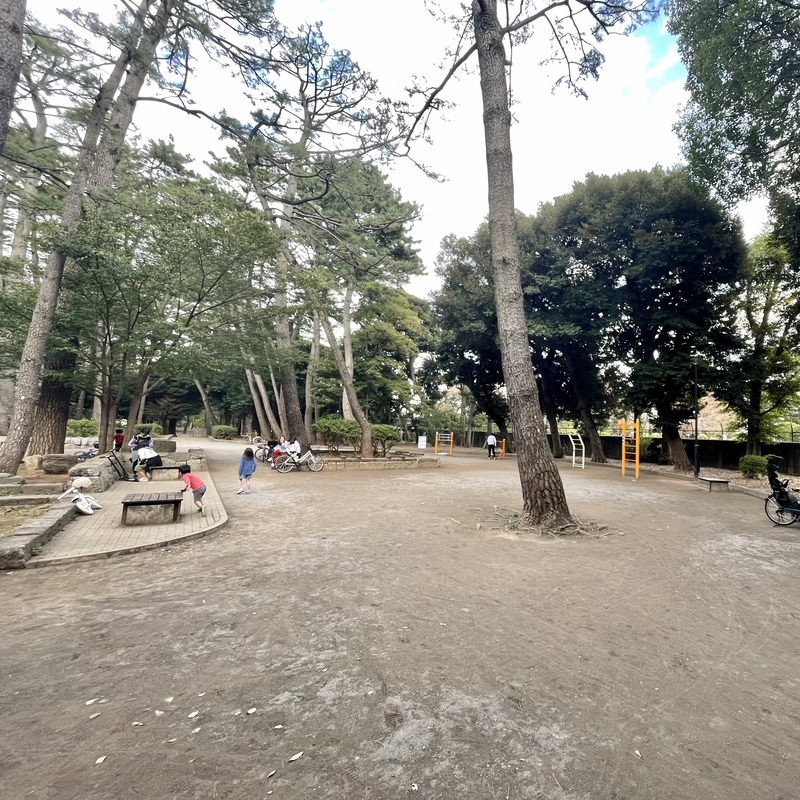 f:id:who-me:20201108160753j:plain