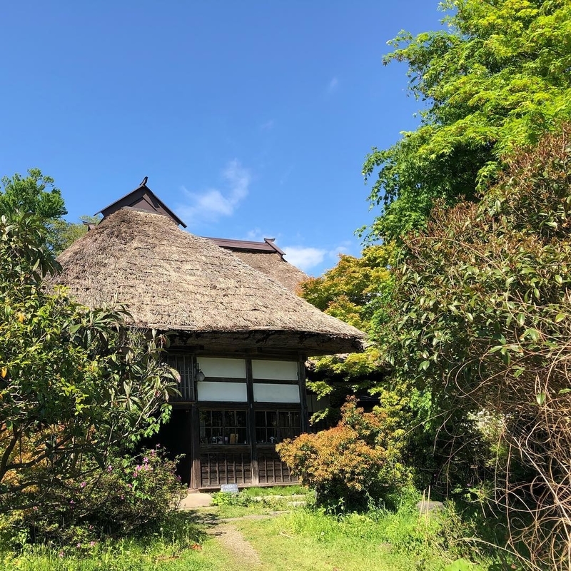 f:id:who-me:20211107140857j:plain