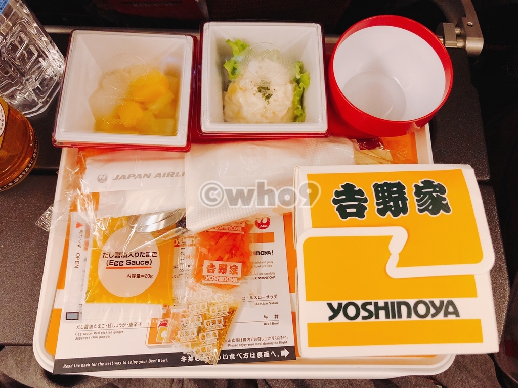 AIR YOSHINOYA