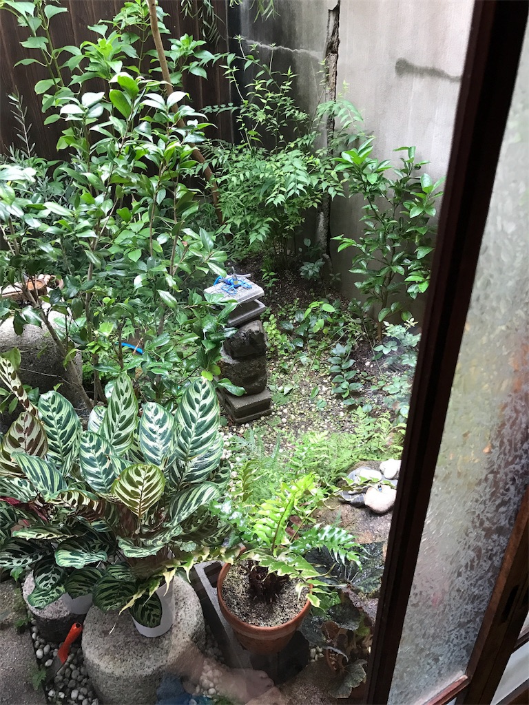 f:id:wholetreatdays:20170815160904j:image f:id:wholetreatdays:20170815160904j:image