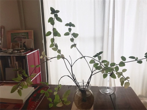 f:id:wholetreatdays:20181206131815j:image