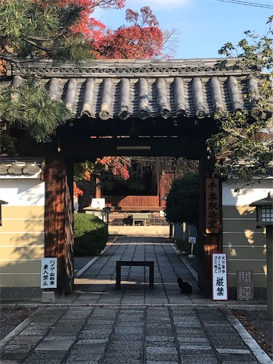 f:id:wholetreatdays:20181208111022j:image