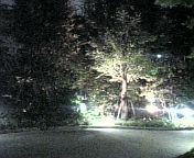 f:id:why-newton:20070818225126j:image