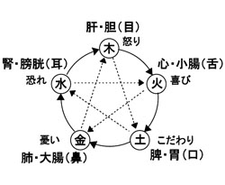 東洋医学へのススメ 藤野の散文 毎日の中に面白いものがある