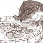 f:id:why-newton:20170904000644j:image