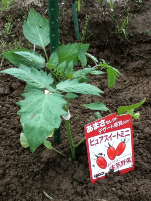 f:id:whynot:20110530140540j:image f:id:whynot:20110530140540j:image