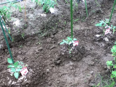 f:id:whynot:20110530141133j:image f:id:whynot:20110530141133j:image