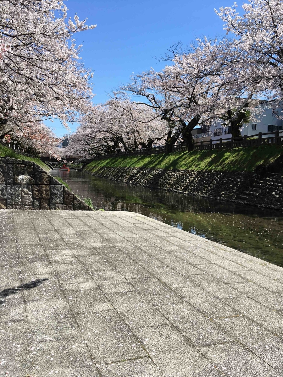 f:id:wichitea:20190415152930j:plain