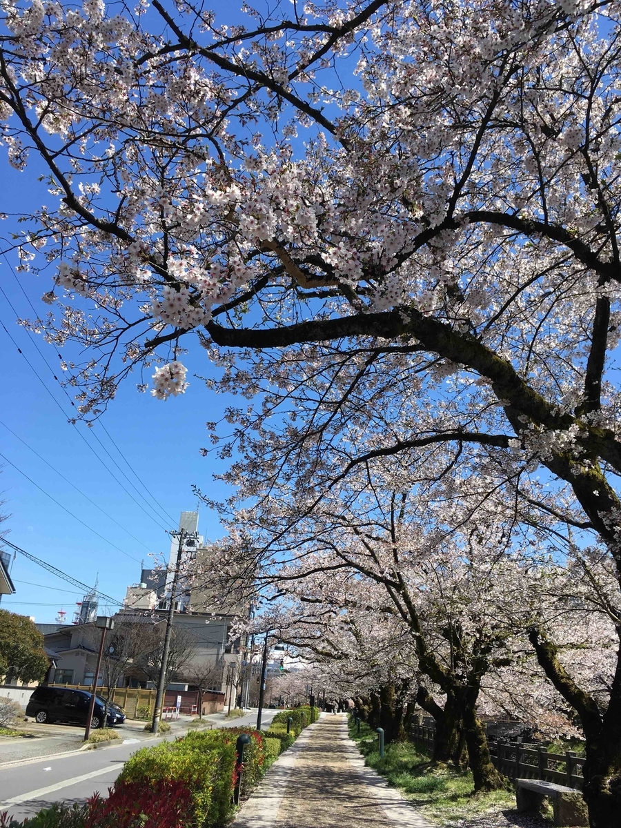 f:id:wichitea:20190415152952j:plain