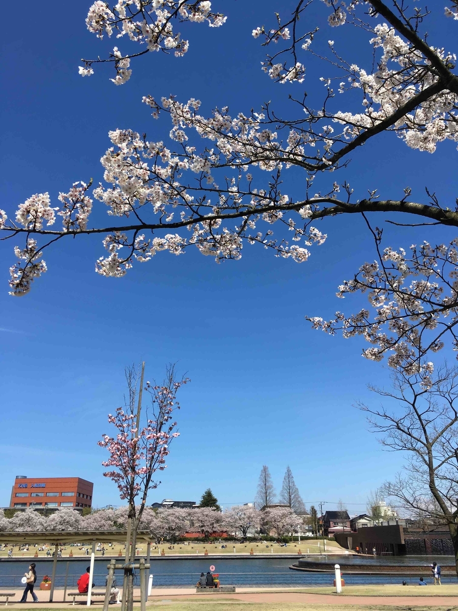 f:id:wichitea:20190415230735j:plain
