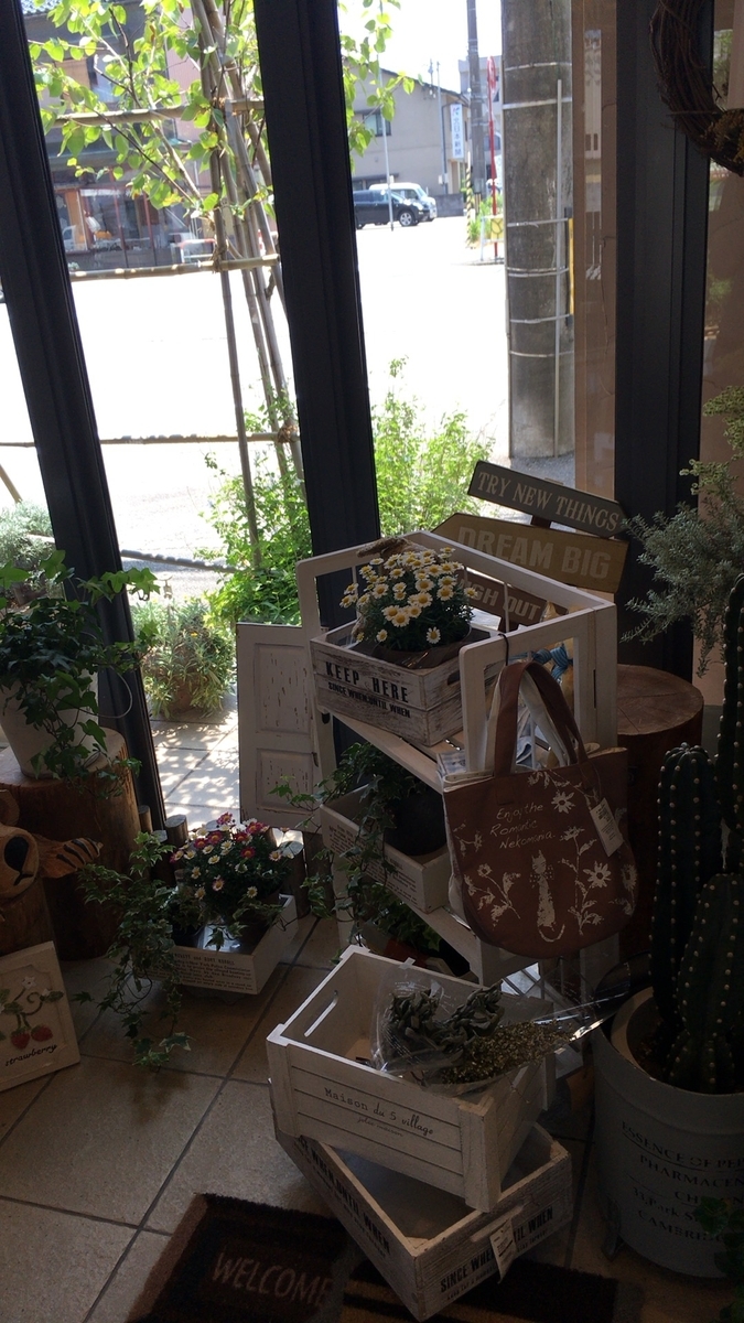 f:id:wichitea:20190612112846j:plain