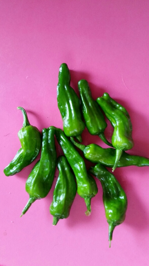 f:id:wide-tree:20160727082622j:plain