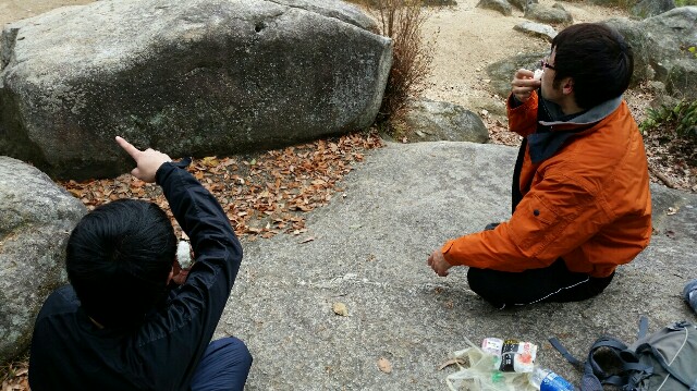 f:id:wide-tree:20161219201847j:image