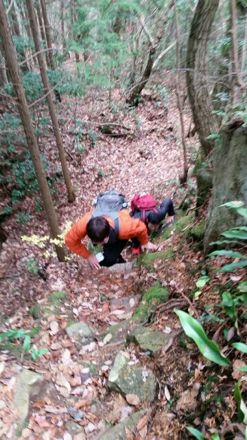 f:id:wide-tree:20161219201947j:image