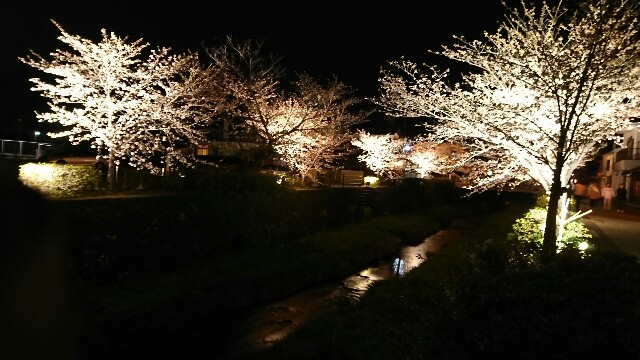 f:id:wide-tree:20170406122134j:image