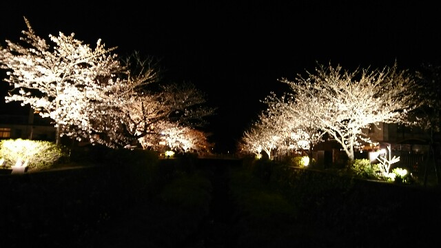 f:id:wide-tree:20170406122143j:image