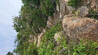f:id:wide-tree:20170718080953j:image f:id:wide-tree:20170718080953j:image