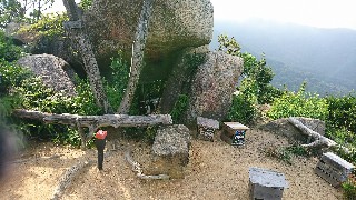 f:id:wide-tree:20170718081030j:image f:id:wide-tree:20170718081030j:image