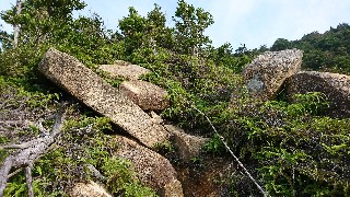 f:id:wide-tree:20170718081107j:image f:id:wide-tree:20170718081107j:image