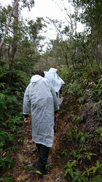 f:id:wide-tree:20171220102823j:image f:id:wide-tree:20171220102823j:image