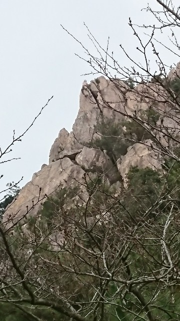 f:id:wide-tree:20171220102939j:image f:id:wide-tree:20171220102939j:image