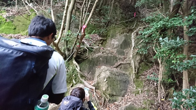 f:id:wide-tree:20171220103718j:image f:id:wide-tree:20171220103718j:image