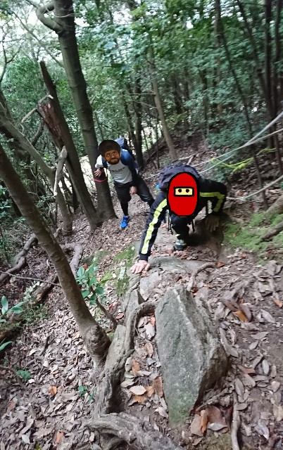 f:id:wide-tree:20171220103935j:image f:id:wide-tree:20171220103935j:image