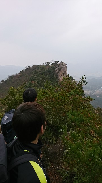 f:id:wide-tree:20171220104121j:image f:id:wide-tree:20171220104121j:image