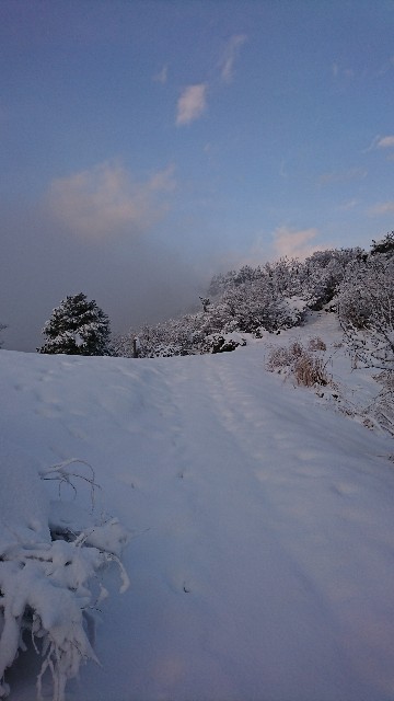 f:id:wide-tree:20180203220557j:image