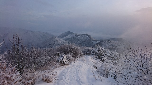 f:id:wide-tree:20180203220806j:image