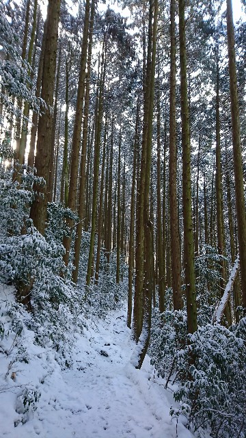 f:id:wide-tree:20180204232405j:image f:id:wide-tree:20180204232405j:image