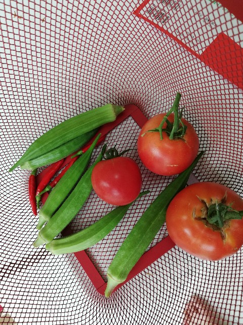 f:id:wide-tree:20190804235903j:image