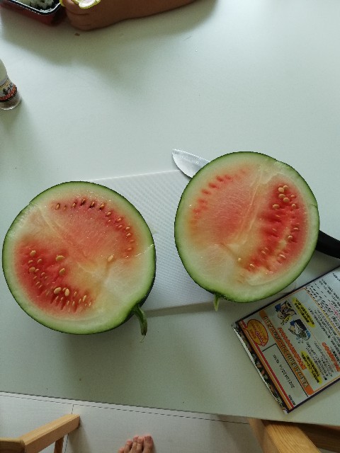 f:id:wide-tree:20200726004114j:image f:id:wide-tree:20200726004114j:image