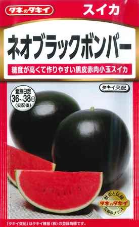 f:id:wide-tree:20200726005552j:image f:id:wide-tree:20200726005552j:image