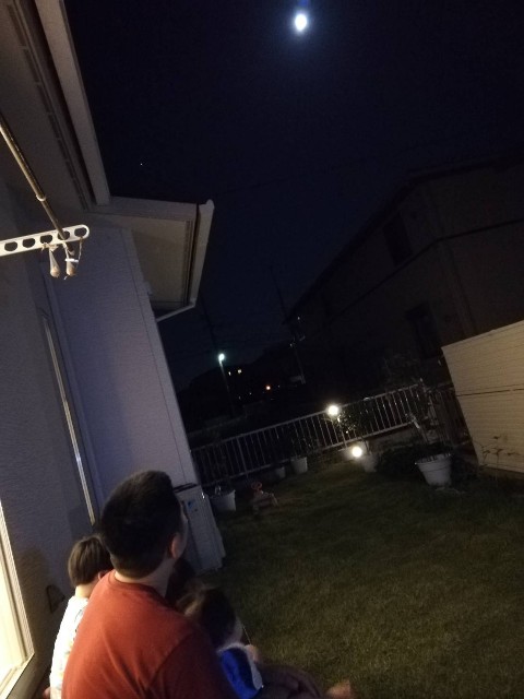 f:id:wide-tree:20201002100515j:image