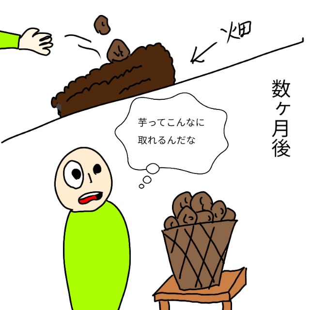 f:id:wide-tree:20201018221959j:image