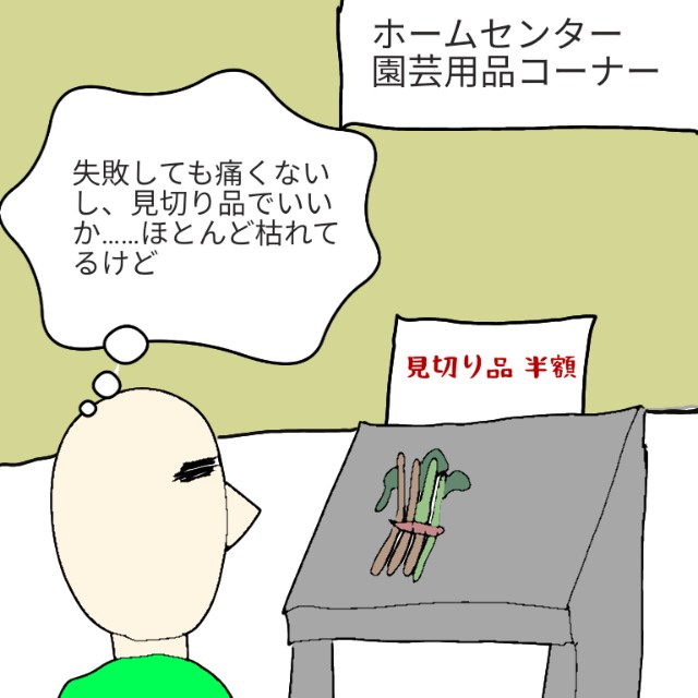 f:id:wide-tree:20201018222127j:image