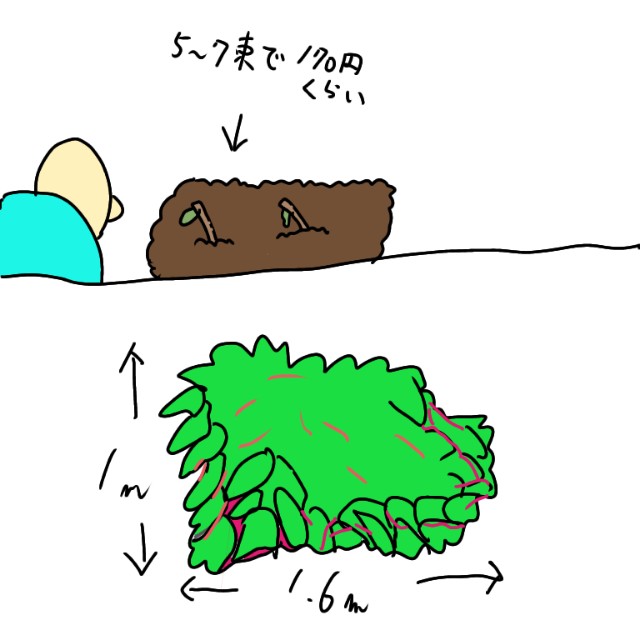 f:id:wide-tree:20201018222309j:image