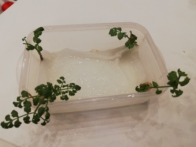 f:id:wide-tree:20201019231211j:image