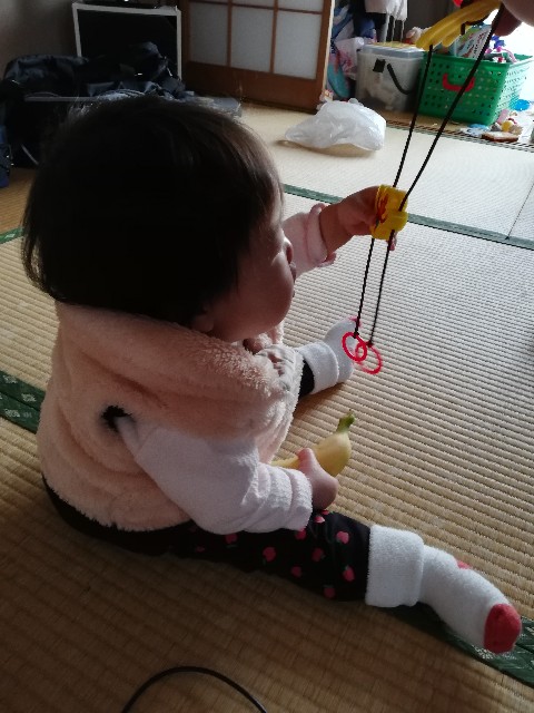 f:id:wide-tree:20210101220829j:image
