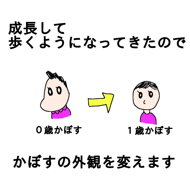 f:id:wide-tree:20210324224227p:plain