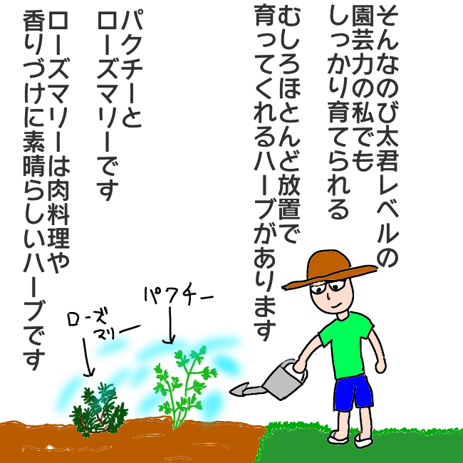 f:id:wide-tree:20210515222812p:plain