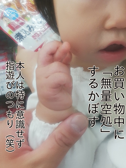 f:id:wide-tree:20210530110044j:plain