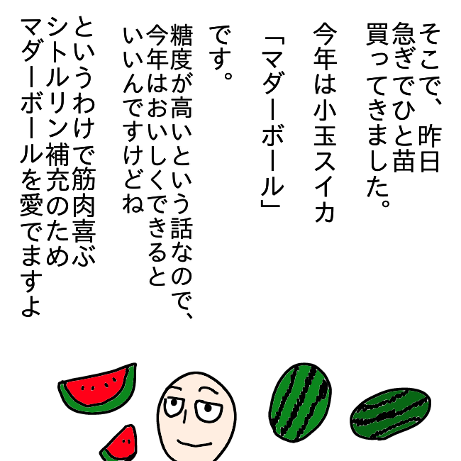 f:id:wide-tree:20210620230434p:plain