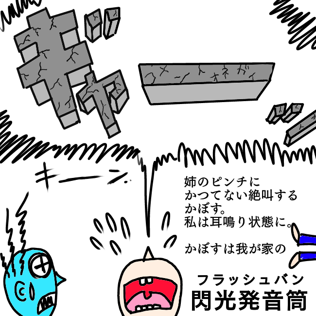 f:id:wide-tree:20210821225321p:plain