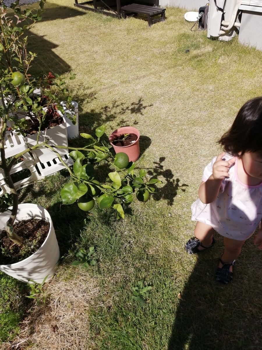 f:id:wide-tree:20211018213805j:plain